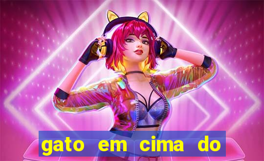 gato em cima do telhado significado espiritual