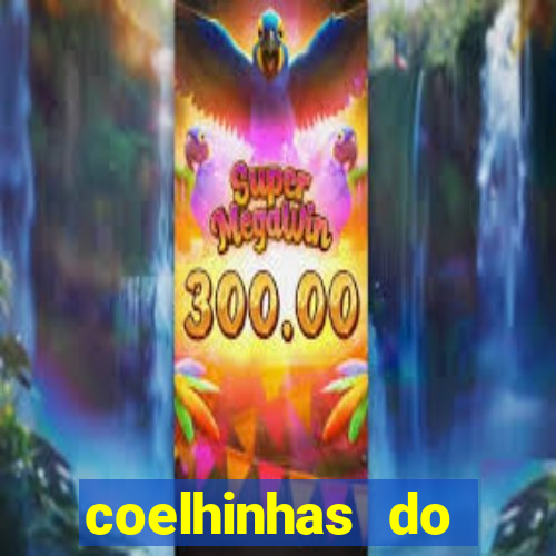 coelhinhas do brasil acompanhantes