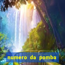 numero da pomba jogo do bicho