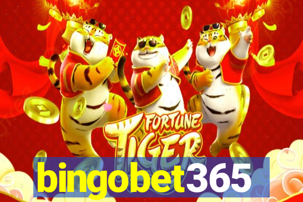 bingobet365