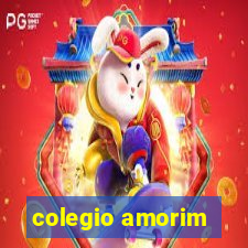 colegio amorim