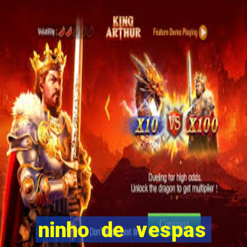 ninho de vespas significado espiritual