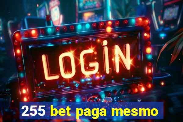 255 bet paga mesmo