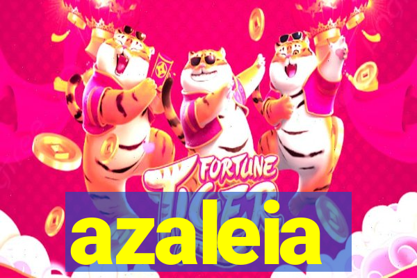 azaleia-br.com