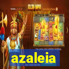 azaleia-br.com