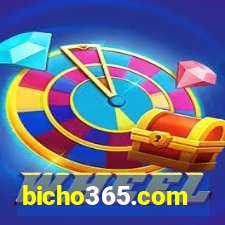 bicho365.com