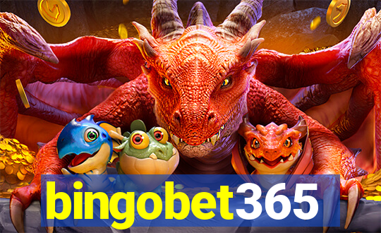 bingobet365